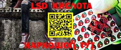 Альфа ПВП Ярославль