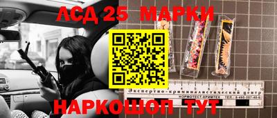 молекула духа Шебекино