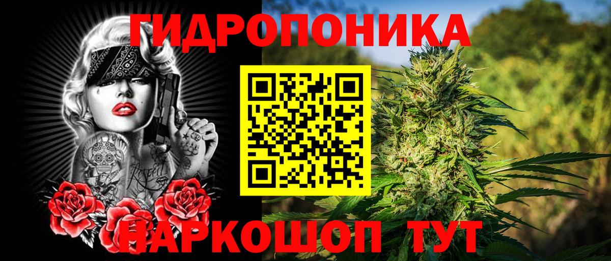 Конопля конопля Анжеро-Судженск